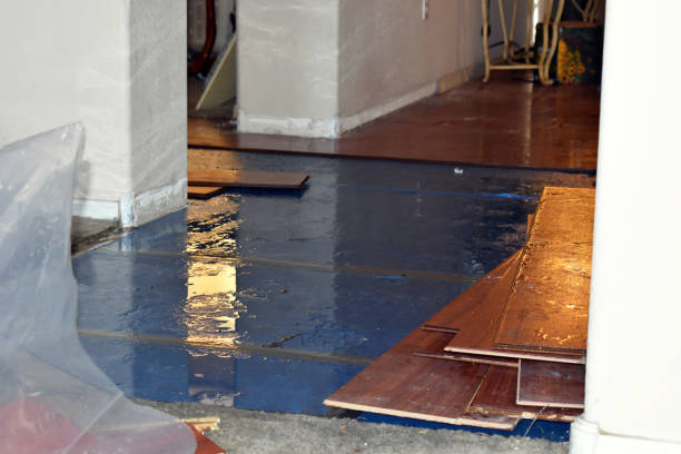Professional Water Damage Restoration technician working in Wabasso, FL